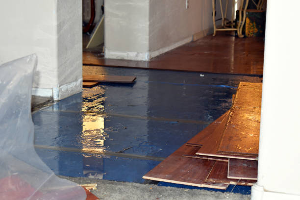 Professional Emergency Water Damage Restoration technician working in Littlefield, TX